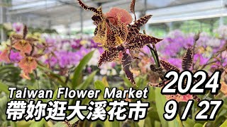 帶妳逛桃園大溪花市~週末搶先看!丨2024/9/27丨Taiwan Flower Market丨