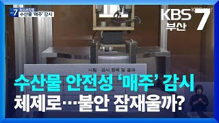 수산물 안전성 ‘매주’ 감시 체제로…불안 잠재울까? / KBS  2023.07.13.