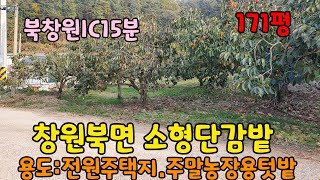 (NO-580번)창원북면토지/주말농장용으로 좋은 창원김해시내에서 접근하기좋은 소형감나무밭(창원토지매매 창원북면토지매매 창원북면주말농장용토지매매)