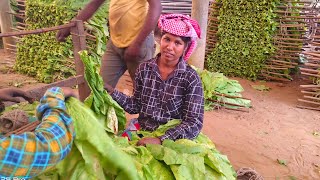 ఈరోజు ఇంటిపని చేస్తున్నారు, మేము ఇద్దరం పనికి, పిల్లలు స్కూల్ కి వెళ్లారు👍👍😄😄