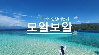 스노클링 좋아해? 그럼 무조건 모알보알가세요!! 세부 자유여행 |  🐟정어리떼 \u0026 거북이랑 🐢 수영하기 완전가능