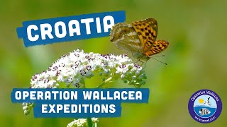 Operation Wallacea - Croatia Expeditions