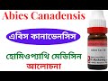 Abies Canadensis Homeopathic Medicine || Abies Canadensis 30, Abies Can 200 *** এবিস কানাডেনসিস