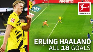 Erling Haaland - 18 Goals in Only 20 Bundesliga Games