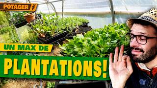 🌱 Potager début avril : SEMIS & PLANTATIONS à ne surtout pas rater ! 🚀 Courgettes, épinards, choux.