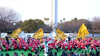 【近畿大学 洗心】フィナーレ演舞 大仙公園会場 堺よさこいかえる祭り 2024