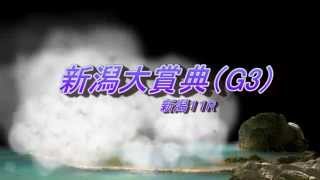 新潟大賞典（G3）　予想馬柱