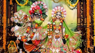 🔴 Live Morning Darshan | 14 January 2025 | Hare Krishna Mandir Ahmedabad | ISKCON Live Darshan