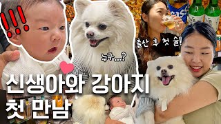 KoreancultureVlog Newborn reaction to a dog for the first time👶🏻First drinking show aftergivingbirth