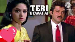 Teri Bewafai Ka Shikwa Karoon Toh | Anil Kapoor | Sridevi | Sunny Deol | Ram Avataar | Hindi Songs