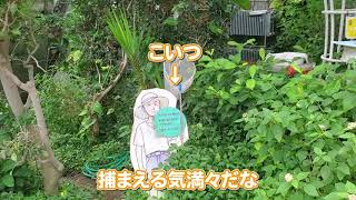 多摩動物公園の昆虫館