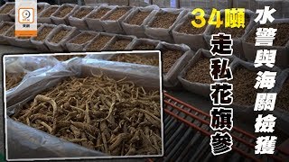 【on.cc東網】警破史上最大宗海路走私花旗參案拘7男　檢近半億元34噸貨