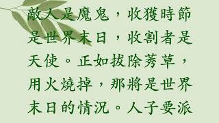 與主嘆啡  - 常年期第十六主日 - 2023年7月23日 - 保持冷靜，天主掌權一切。