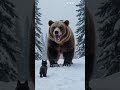 cat vs bear – who will win this epic battle 🐱🐻