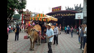 老埤馬卡道年度祭典 展現3年文化復振成果