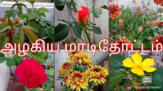 நமது subscriber, பவித்ரா அவர்களின் அழகிய மாடிதோட்டம்