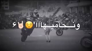 احنا نسير القوافل ونمشيهااا😌♥