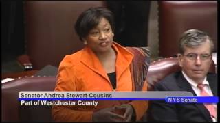 Senator Andrea Stewart-Cousins speaks on Black History Month in Senate Session