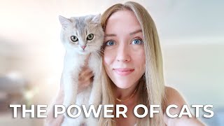 5 WAYS CATS CHANGED MY LIFE | The Benefits of Having A Cat 🐱💕