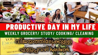 A Productive Day In My Life/ Weekly Grocery Shopping/ Study and Planning/ Mom Vlog