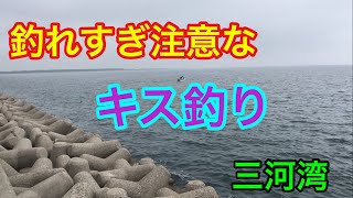 釣れすぎ注意なキス釣り 三河湾