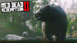 That's a Big Bear || Red Dead Redemption 2 - Part 4