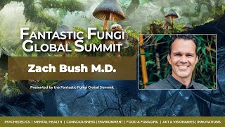 🍄 Fungi \u0026 the Gut Microbiome | Revolutionary Medicinal Breakthroughs from Zach Bush, M.D. 🌿