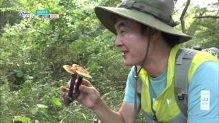 6시 내고향 - 서해안의 보물, 문갑도 - 인천광역시.20160909