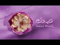 فواصل فنانيس رمضان 2025 | عيد الأم