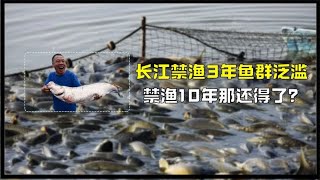 长江10年禁渔才实施3年，鱼就多到局部泛滥，继续下去还得了？