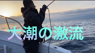 激流がチャンスタイム❓光進丸　午前甘鯛五目