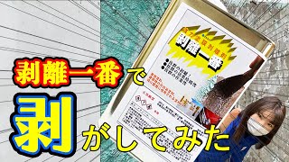 【初心者さんでもOK】剥離一番で壁をはくっちゃおう！【PROST】