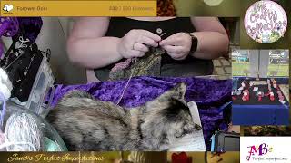 [Video] [JambsPerfectImperfections] [2024-09-21] working on the traveling Zebra yarn shawl ：) 720p60