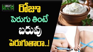 పెరుగు తింటే బరువు పెరుగుతారా | Can Curd Help you Lose Weight or Gain Weight | Great Health