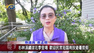 20240620 南投縣議會 民議新聞 杉林溪繡球花季登場 歡迎民眾蒞臨南投避暑度假(縣議員 陳玉鈴、蔡孟娥、林憶如)