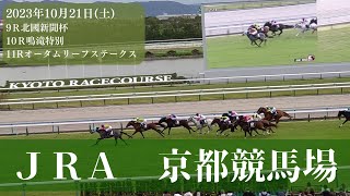 京都競馬場に行って来た！〈2023年10月21日〉