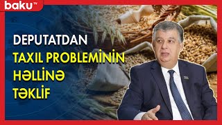 Millət vəkilindən taxıl probleminin həllinə təklif  - BAKU TV