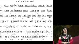 点着了炉中火红光闪亮 红云岗 董翠娜演唱 肖洪智操琴