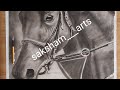 realistic drawing of horse |by saksham___arts