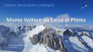 Monte Vettore da Forca di Presta. Marche, Monti Sibillini: trekking EE