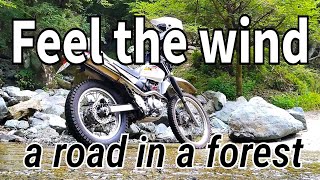 【motovlog】Feel The Wind   a road in a forest 【2.7K】【Motorcycle touring 】