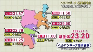 ヘルパンギーナ　宮城県で感染者が６週連続で増加