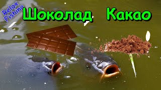 Реакция рыбы на 🍫 ШОКОЛАД и КАКАО! Подводная съемка рыбалки. Лещ, карась, плотва.