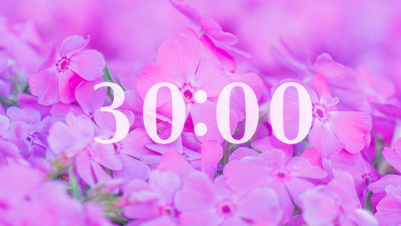 Classroom Timer Spring At Byron Wells Blog