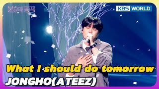 What I should do tomorrow - JONGHO(ATEEZ) [Immortal Songs 2] | KBS WORLD TV 240629