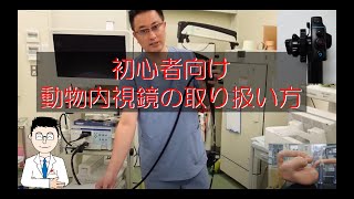 初心者向け動物用内視鏡の簡単操作手順