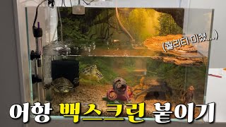 15,000원으로 어항 대변신 시키기🌳| 똥손도 가능한 거북이 어항 백스크린 붙이기! | 어항 무점착 백스크린 | HQ백스크린 | 어항 꾸미기 |