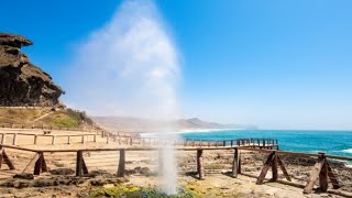 Al Mughsail Beach, Salalah, Oman | Best place to visit in Oman | Wild beach with blowholes | Vlog |