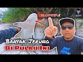 🇲🇾 Pulau Lima | Banyak BLACKTIP Di Sini | Fishing & Camping ( Part 1 ) #106