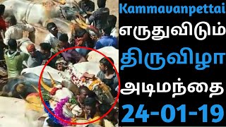 24-01-19 || Kammavanpettai Village || எருதுவிடும் திருவிழா அடிமந்தை || Vellore Manjuviratt